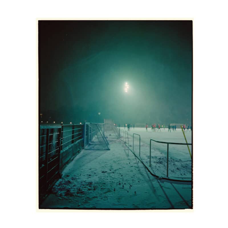Græssult - Billede 6